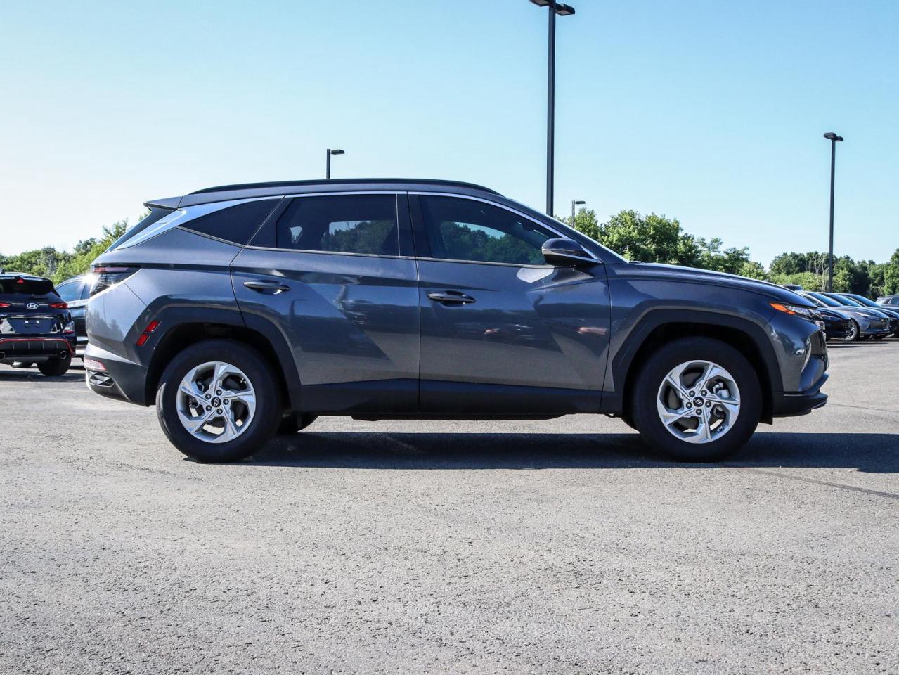 2024 Hyundai Tucson  Photo