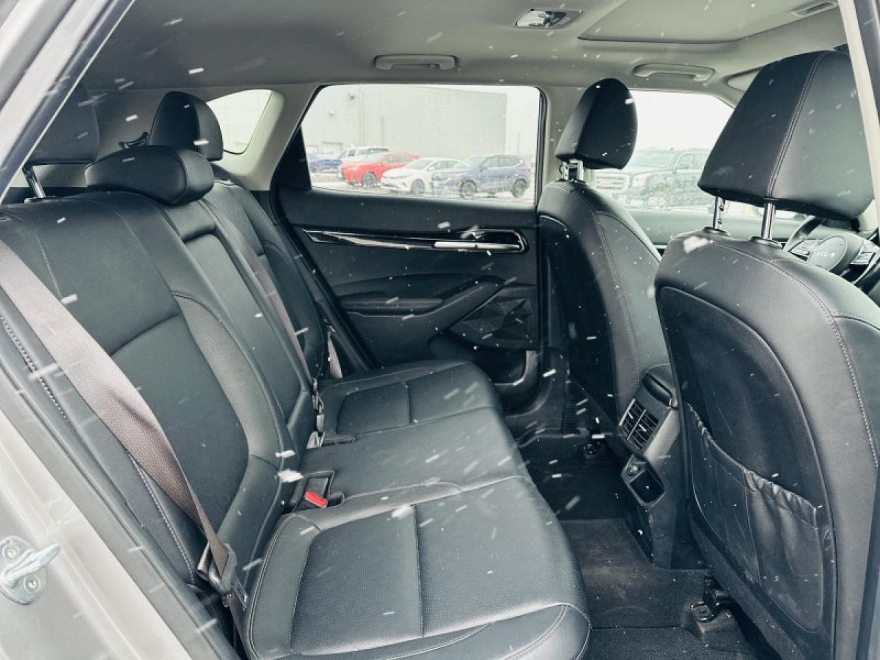 2022 Kia Seltos EX Photo