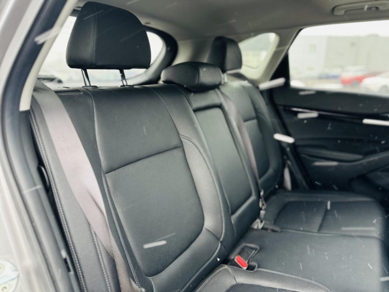 2022 Kia Seltos EX Photo