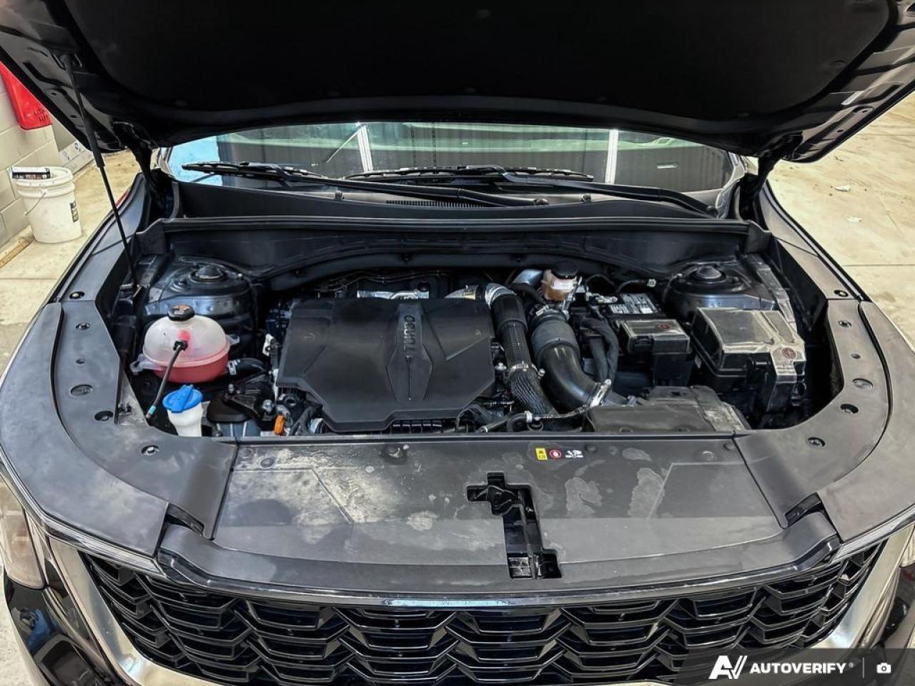 2024 Kia Sorento  Photo