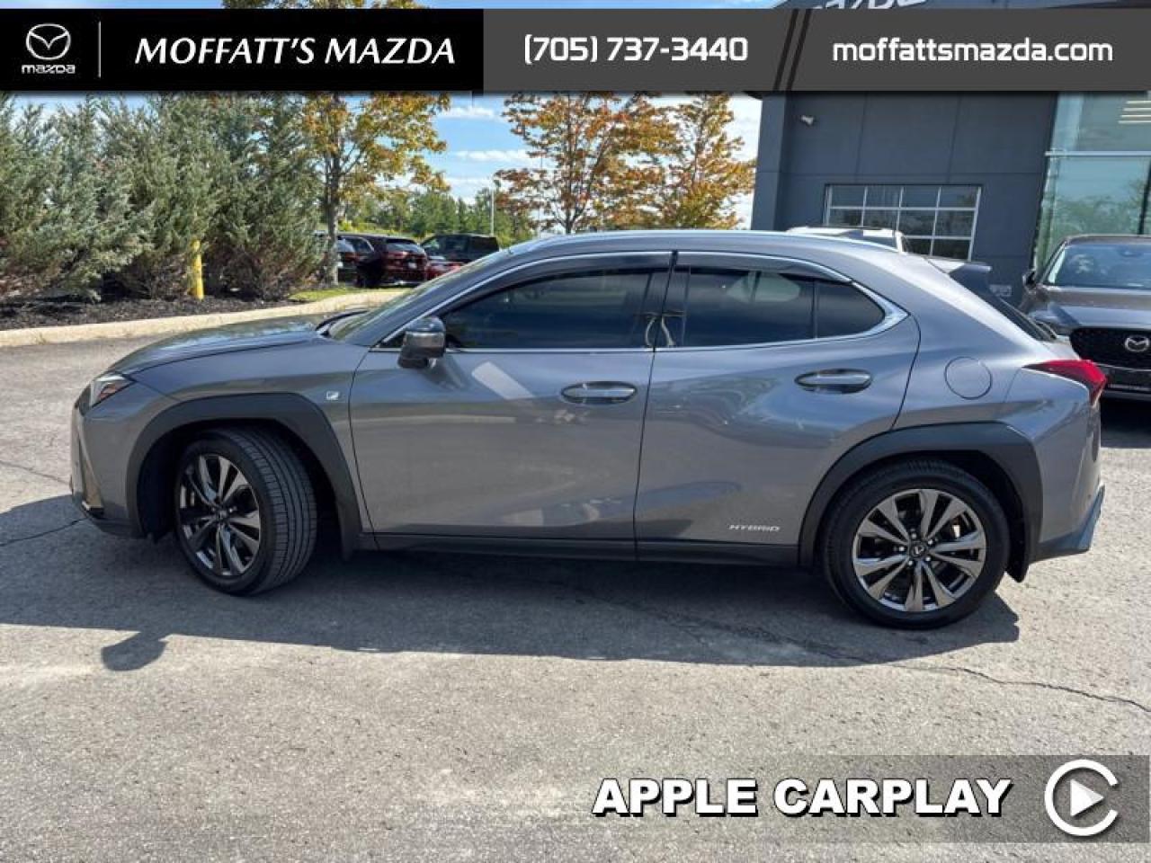 2021 Lexus UX 250H Photo