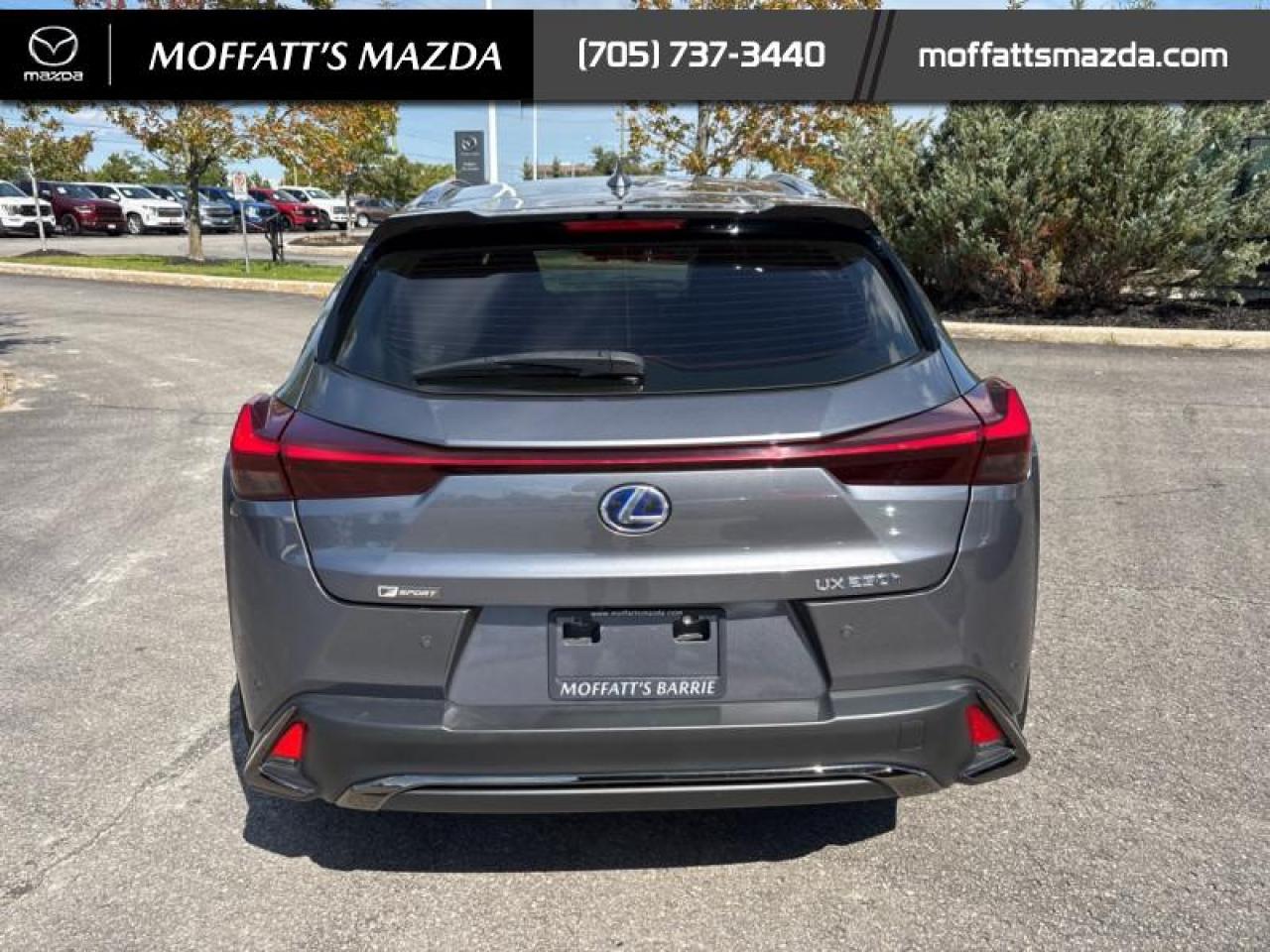 2021 Lexus UX 250H Photo