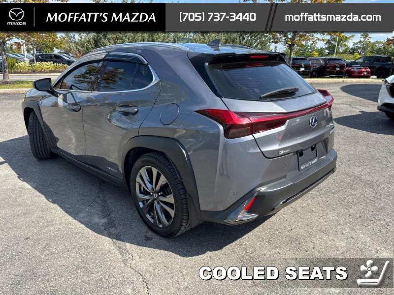 2021 Lexus UX 250H Photo