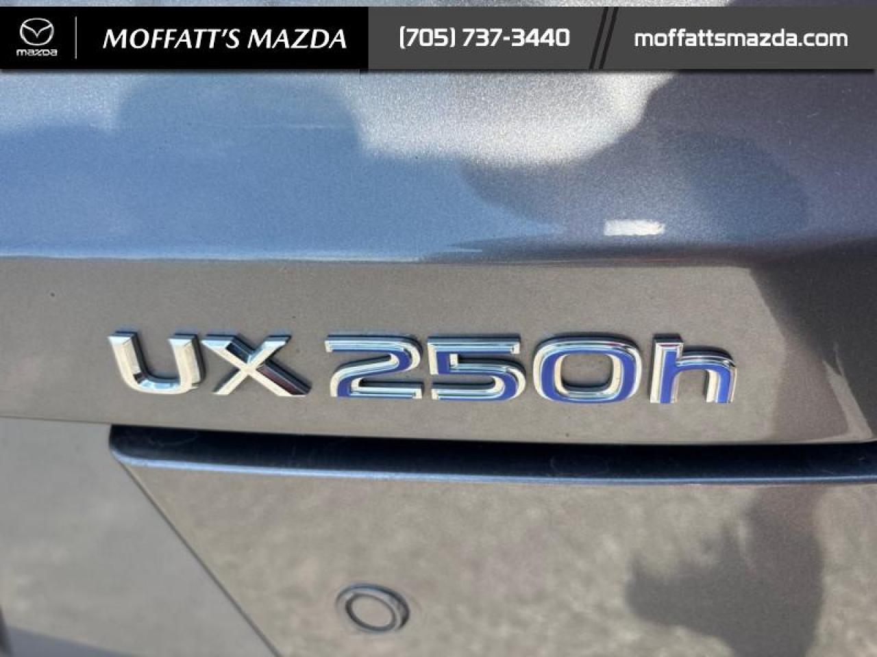 2021 Lexus UX 250H Photo