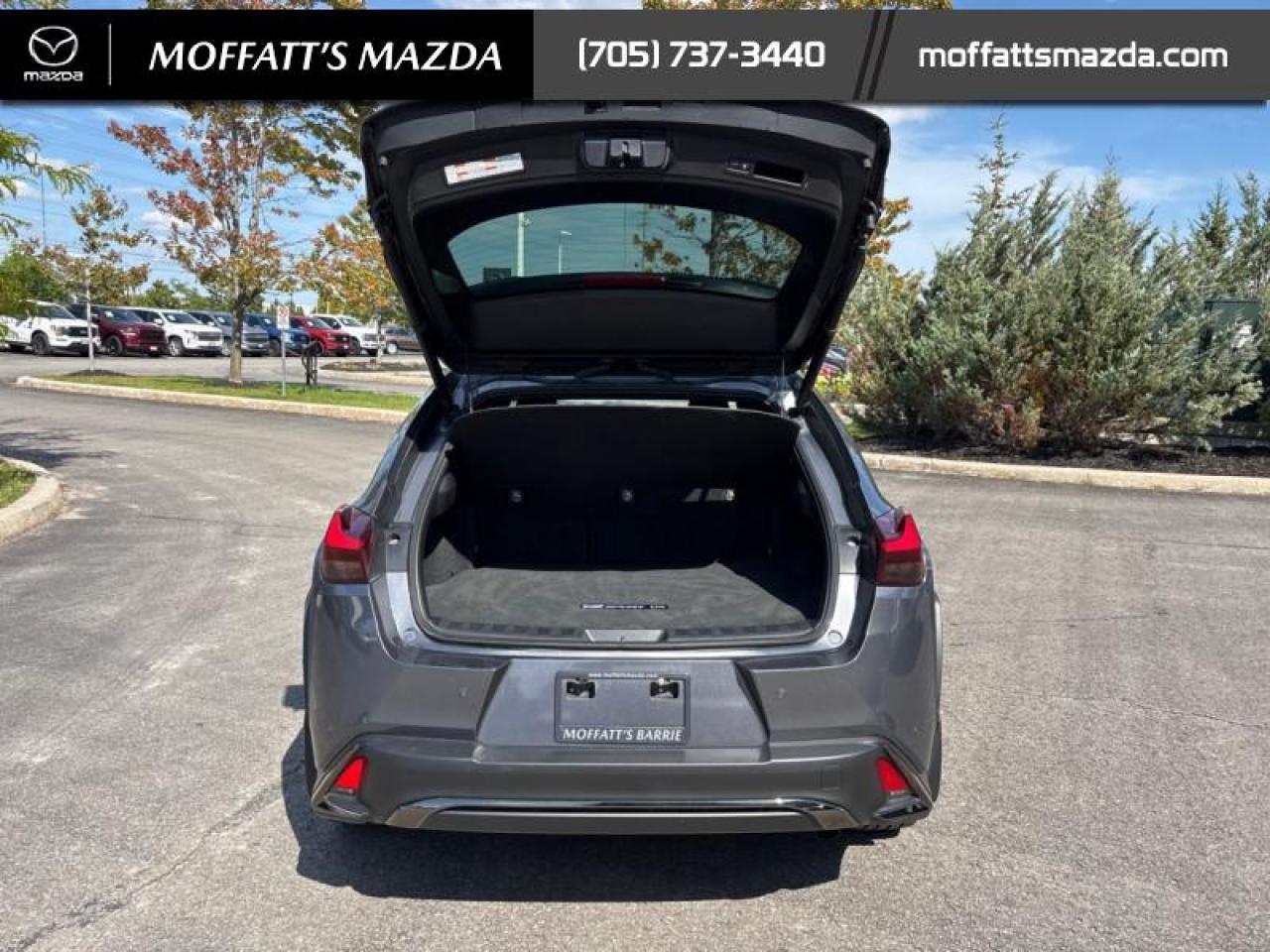 2021 Lexus UX 250H Photo