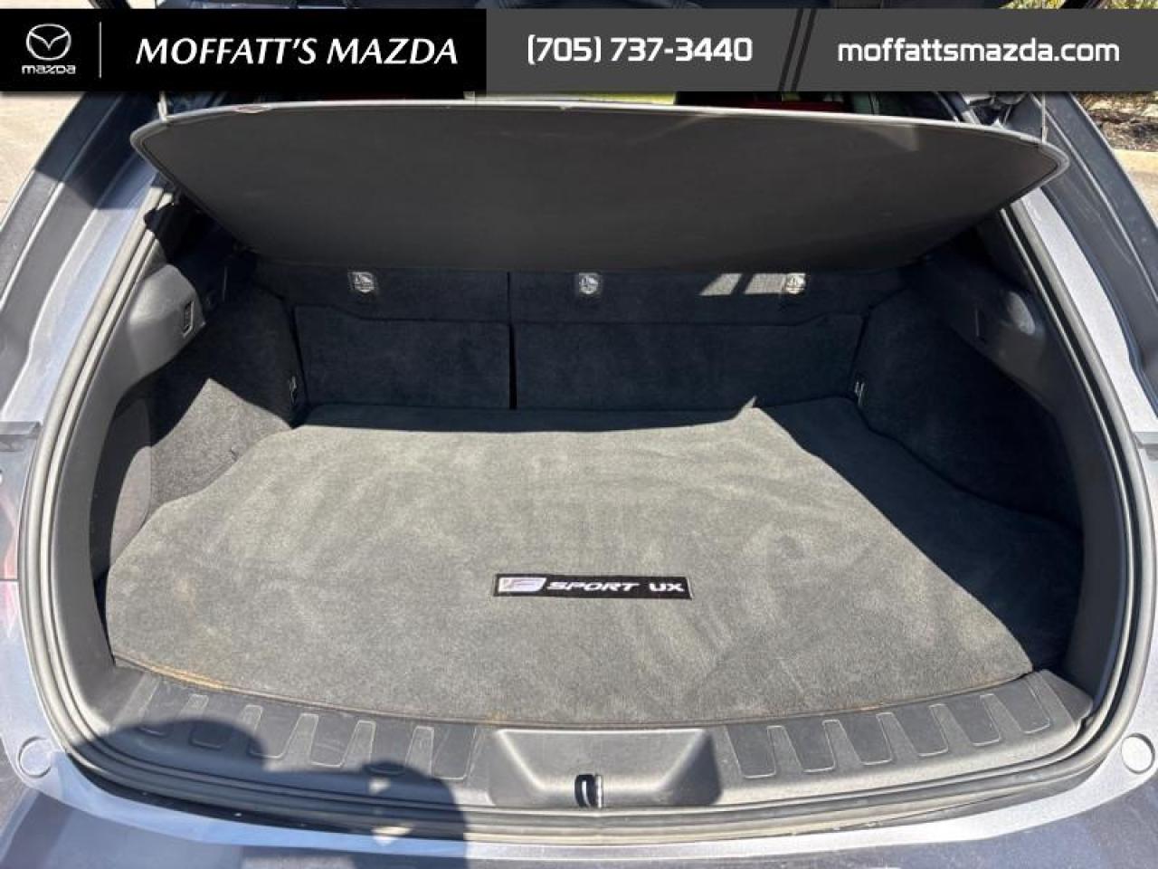 2021 Lexus UX 250H Photo