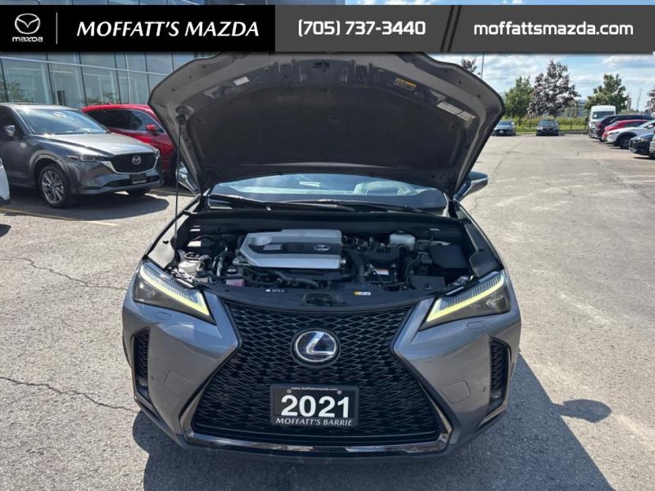 2021 Lexus UX 250H Photo