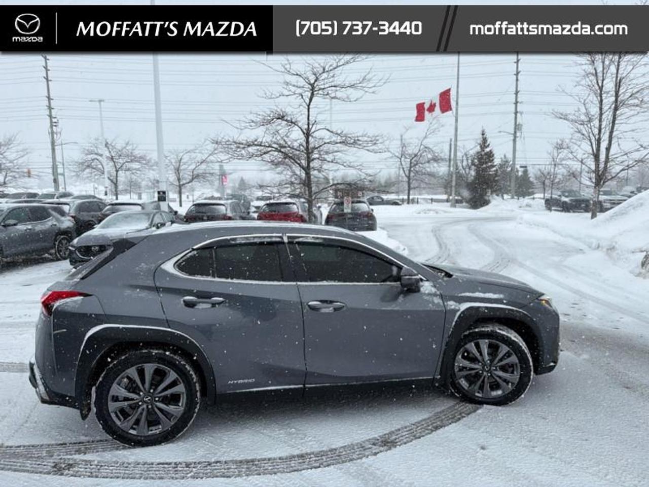 2021 Lexus UX 250H Photo