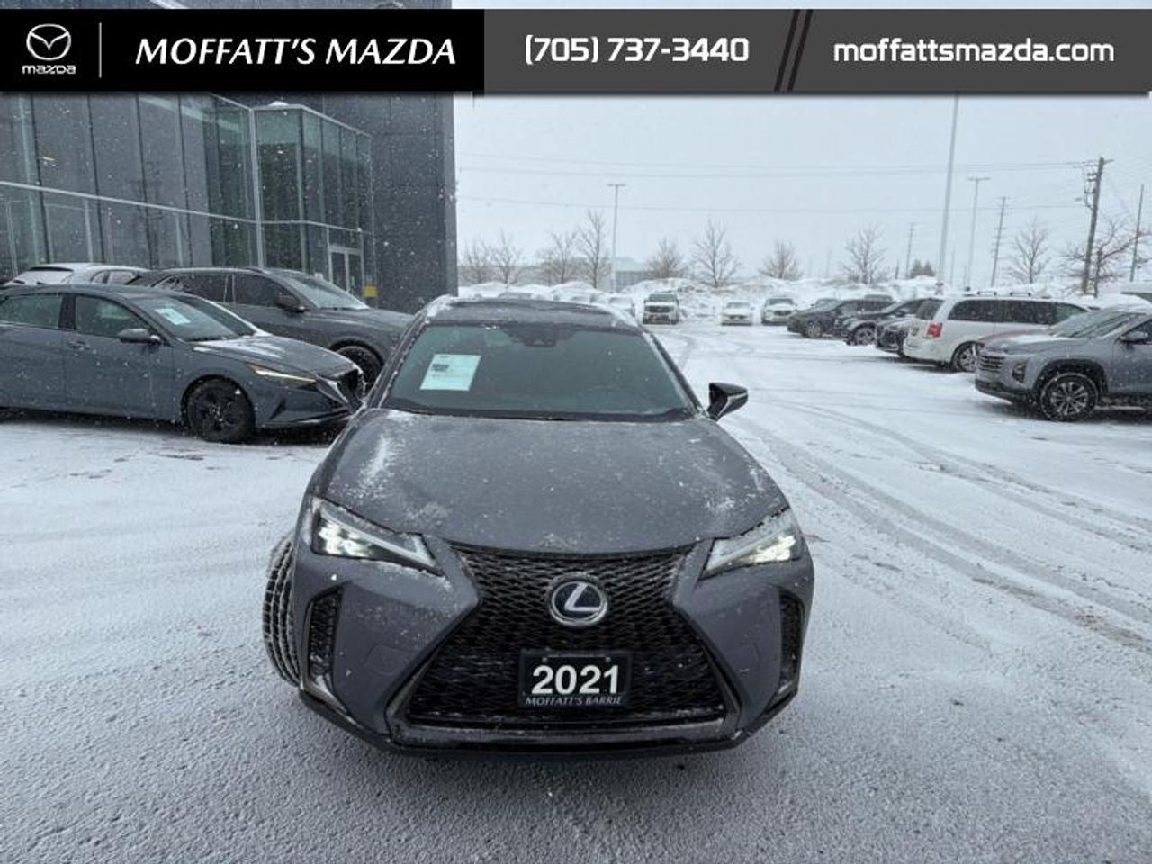 2021 Lexus UX 250H Photo