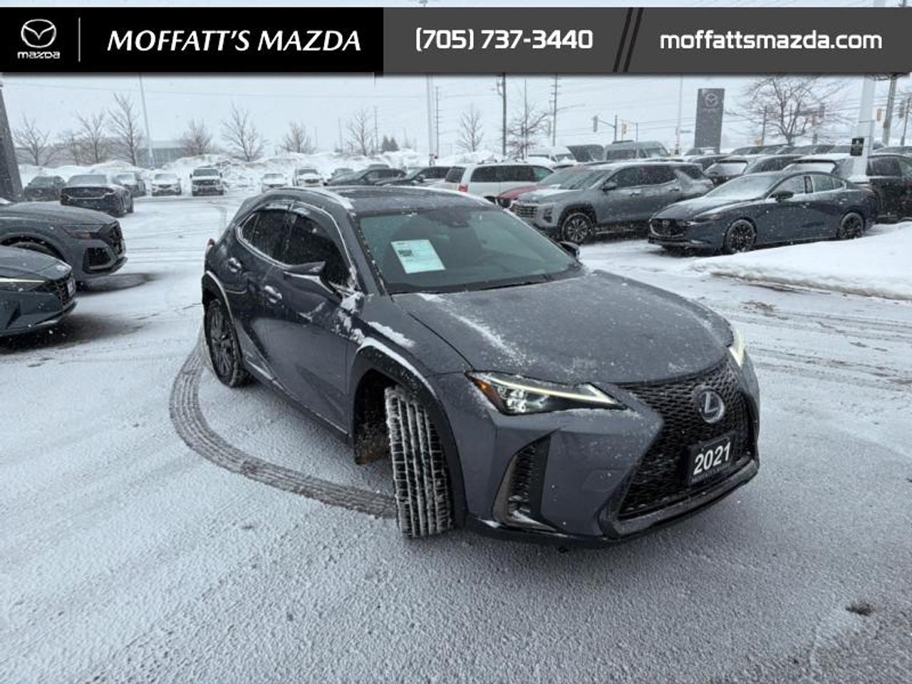 2021 Lexus UX 250H Photo