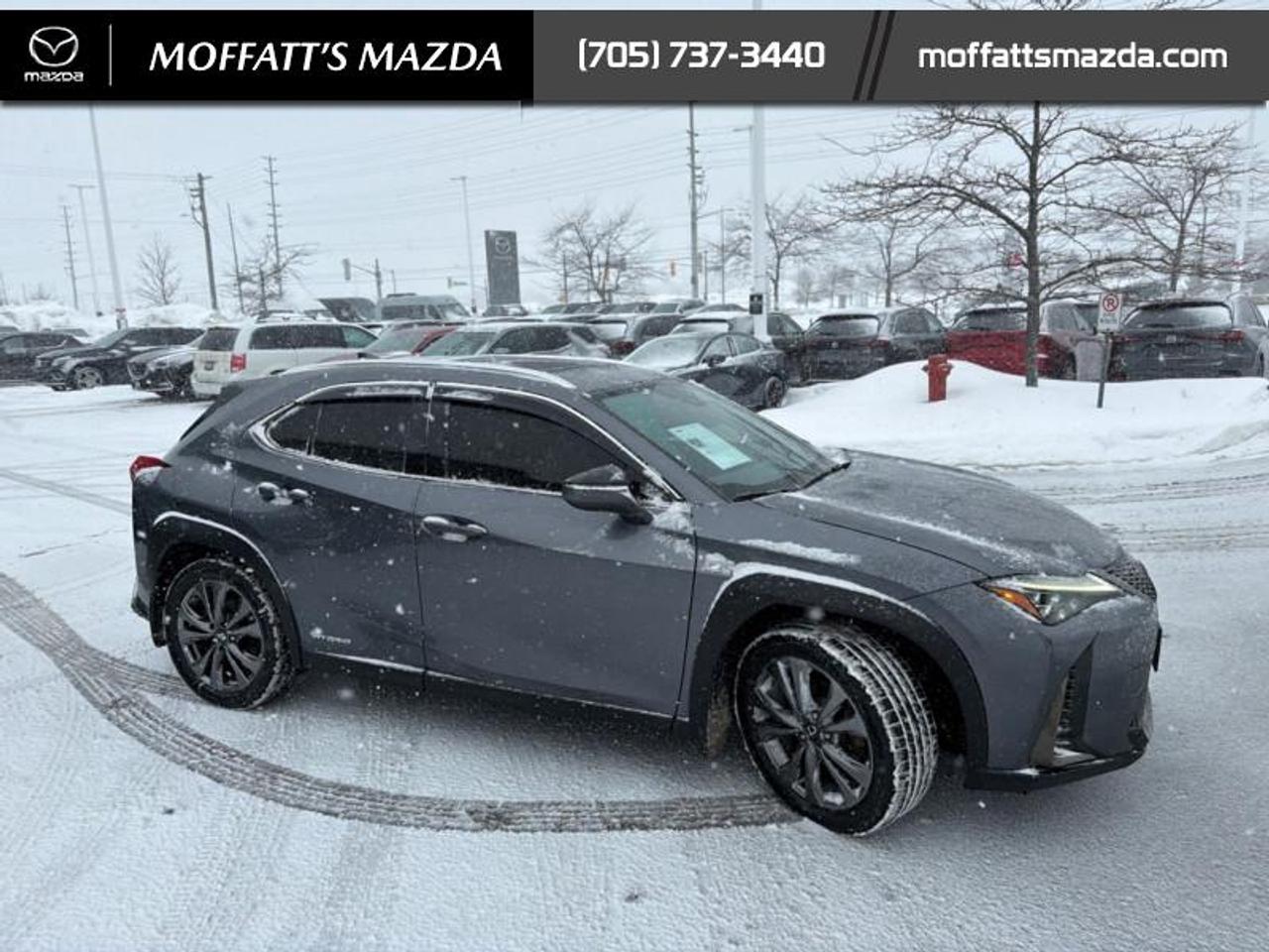 2021 Lexus UX 250H Photo