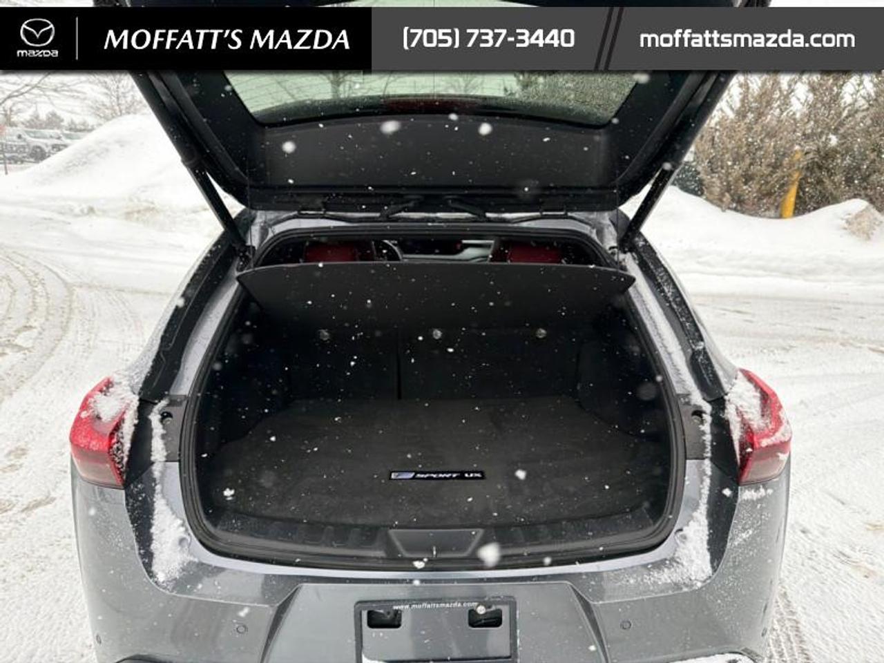 2021 Lexus UX 250H Photo