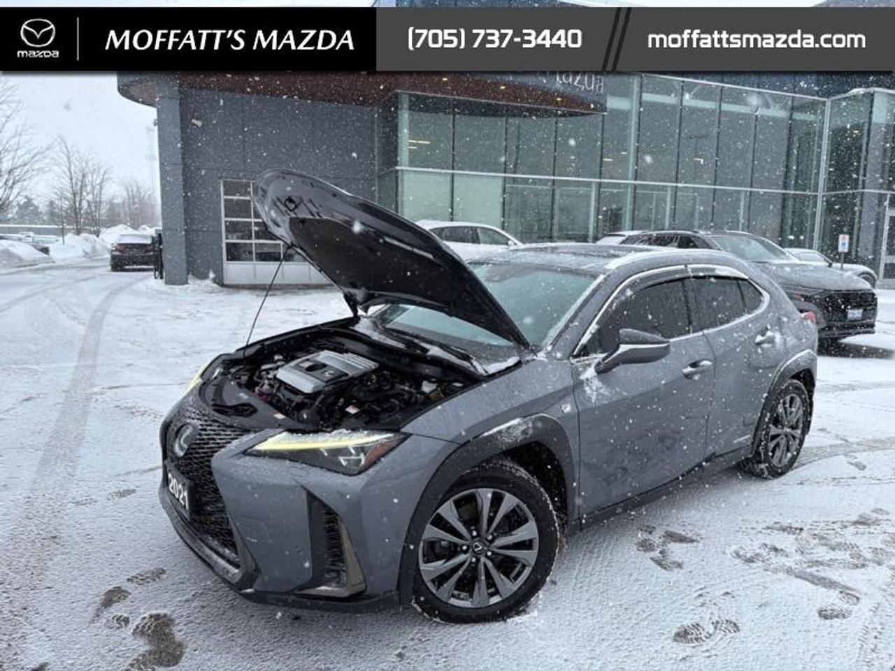 2021 Lexus UX 250H Photo