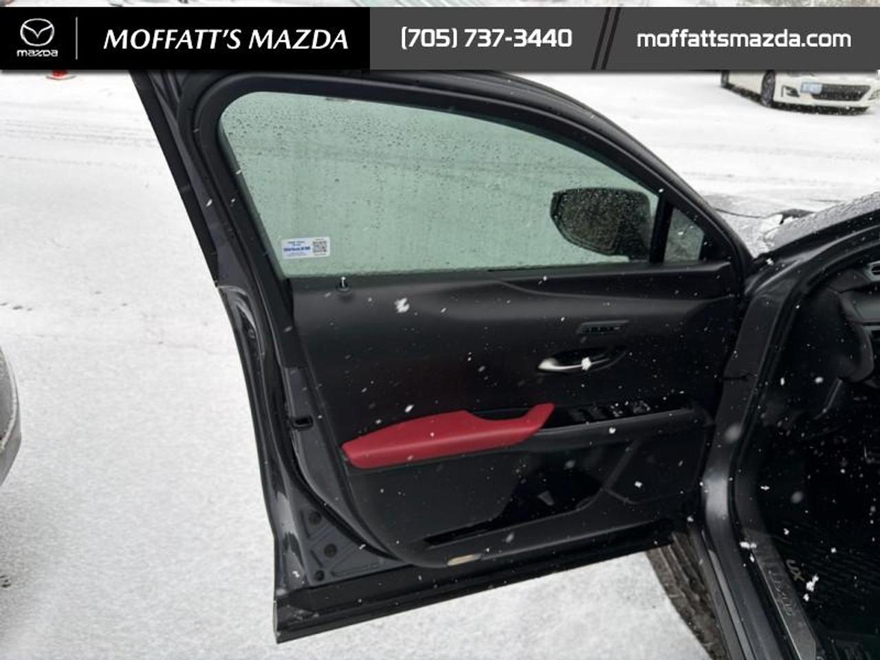 2021 Lexus UX 250H Photo