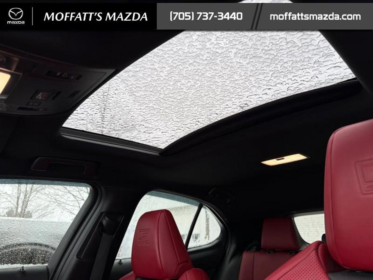 2021 Lexus UX 250H Photo