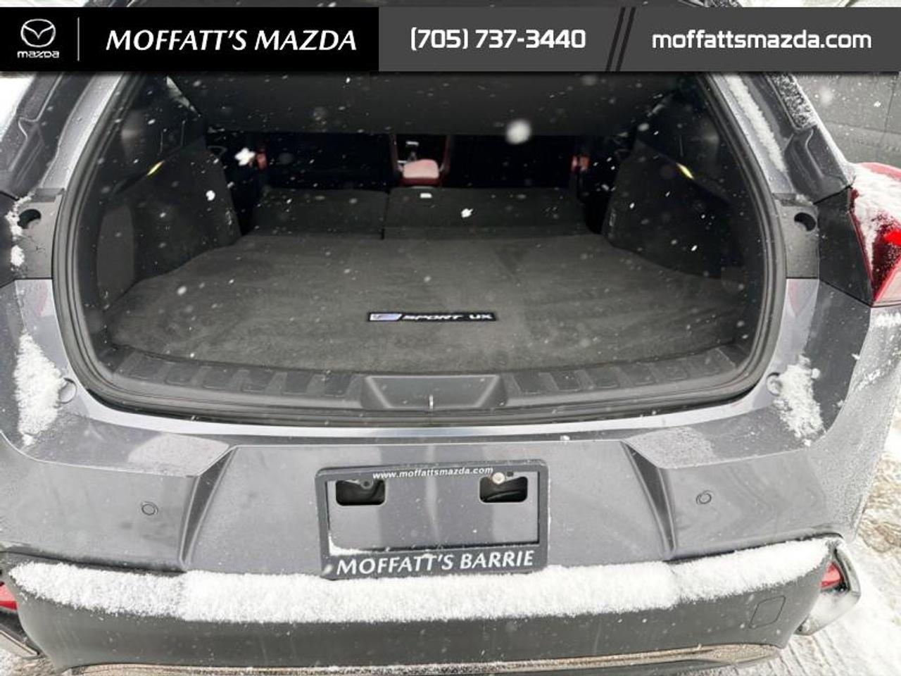 2021 Lexus UX 250H Photo