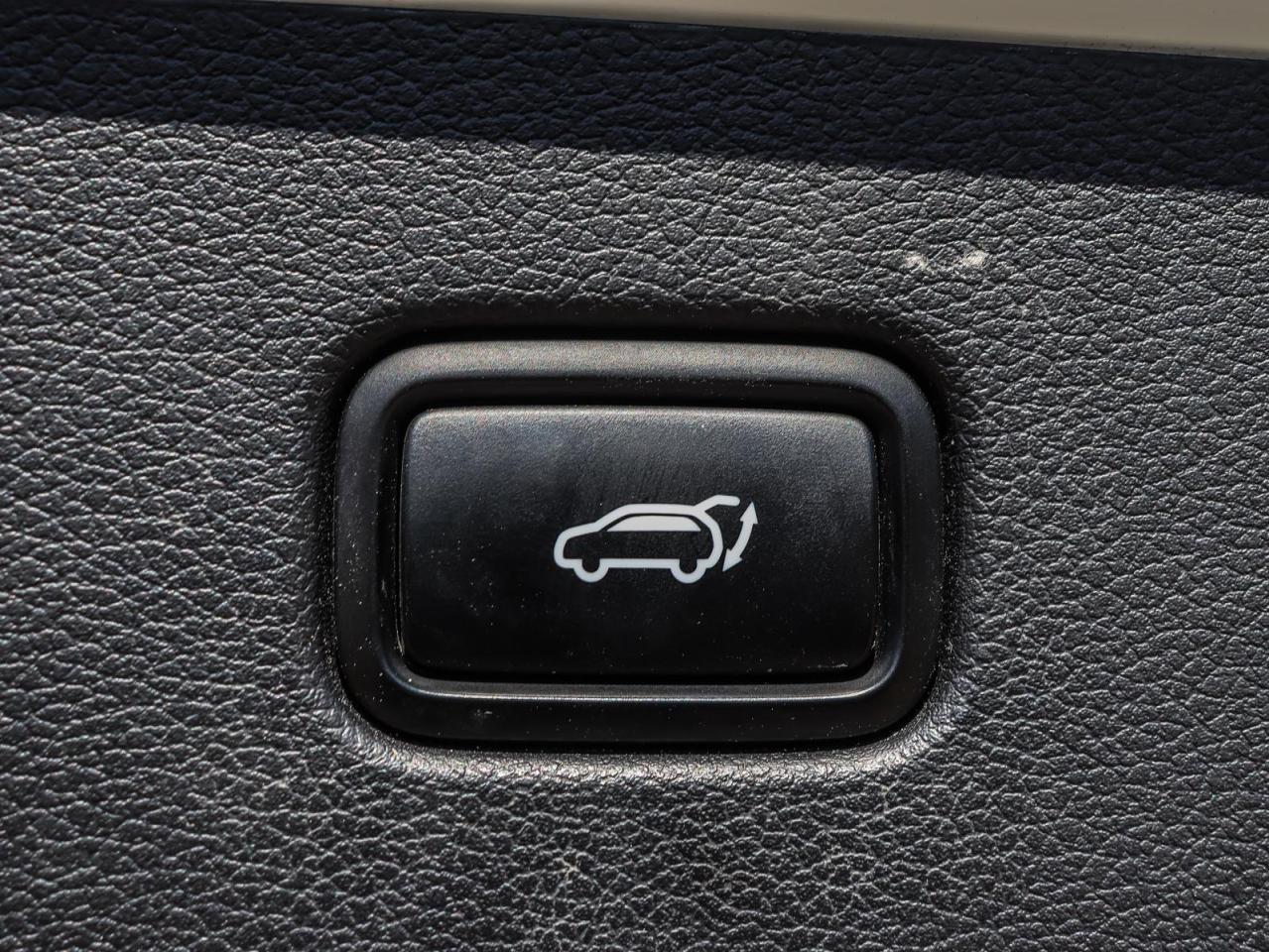 2020 Hyundai PALISADE Luxury 7 Passenger 4dr All-Wheel Drive Photo