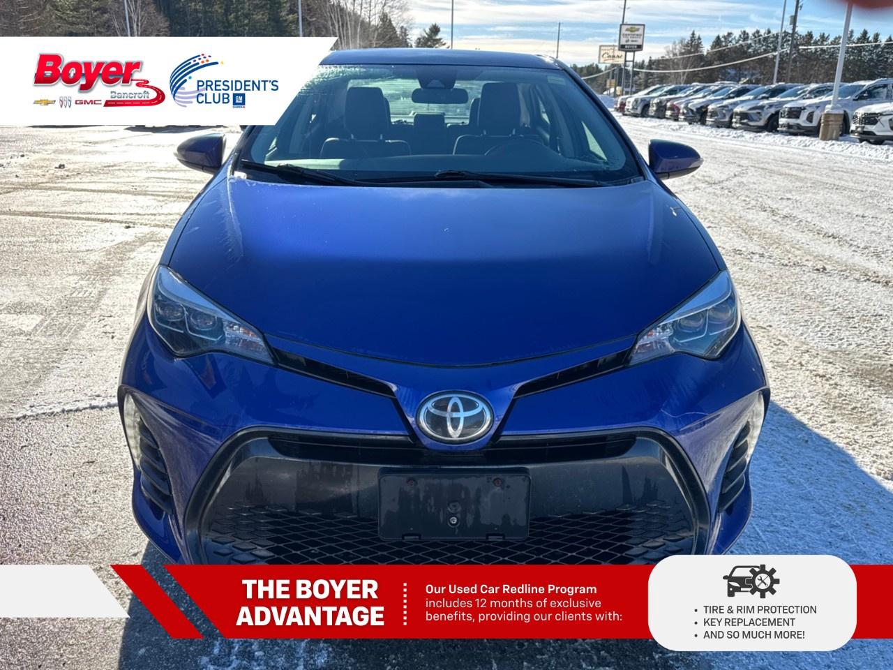 2019 Toyota Corolla SE CVT Photo