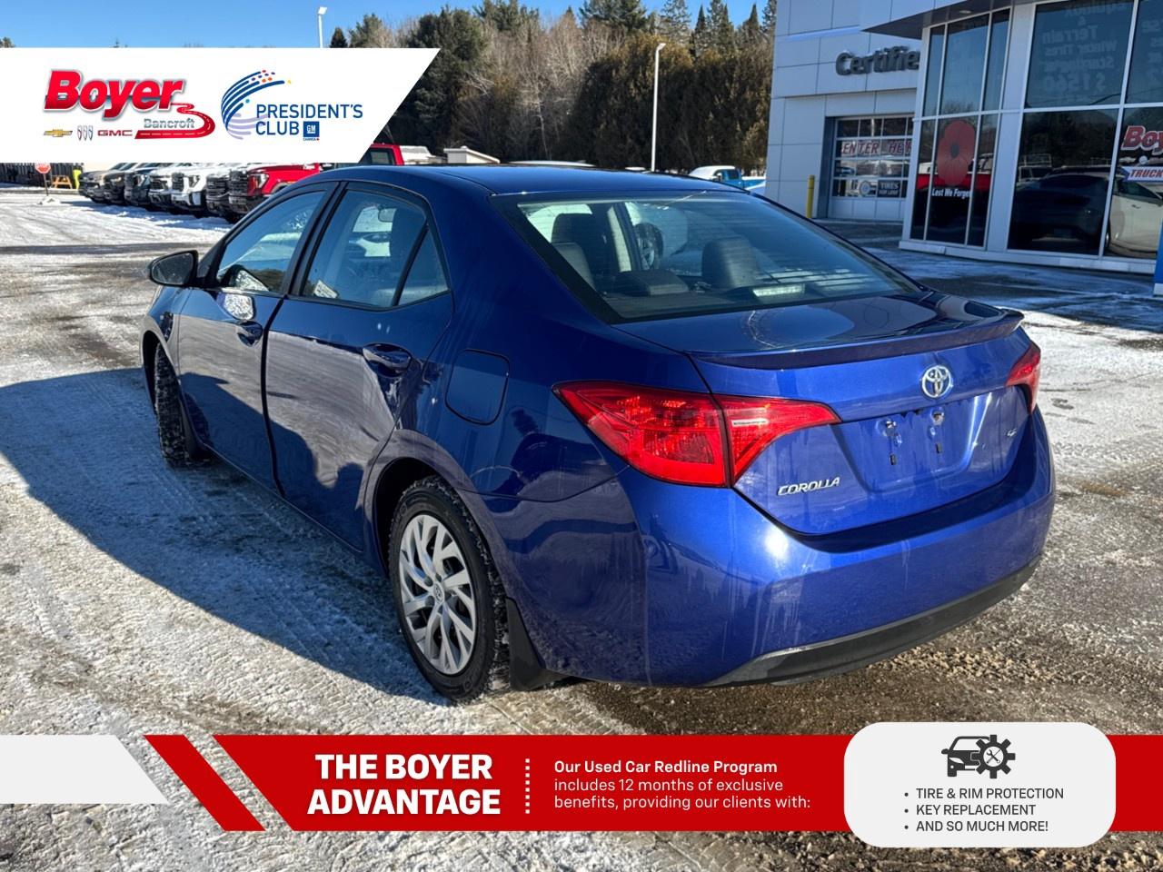 2019 Toyota Corolla SE CVT Photo