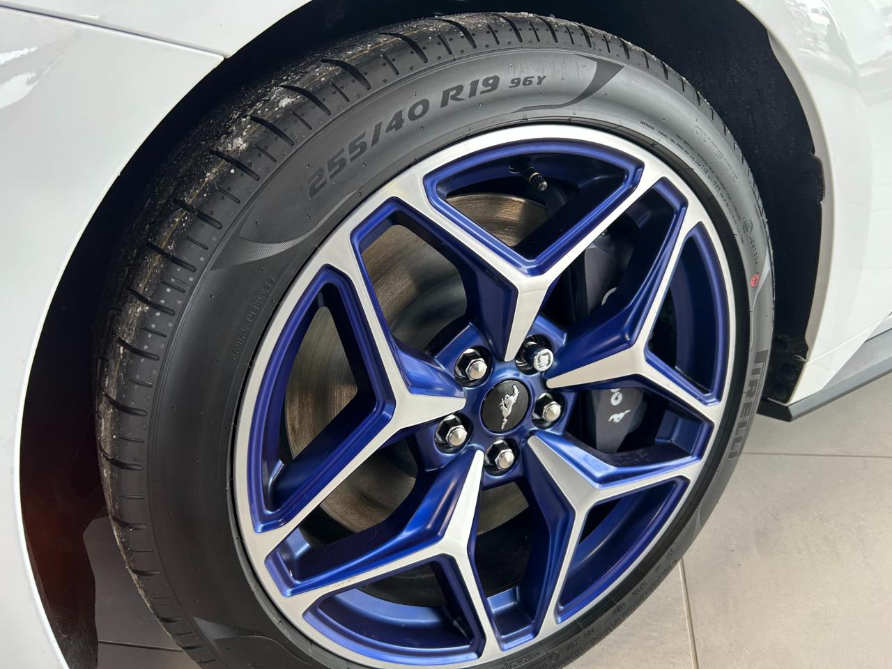 2025 Ford Mustang GT Premium 2dr Fastback Photo