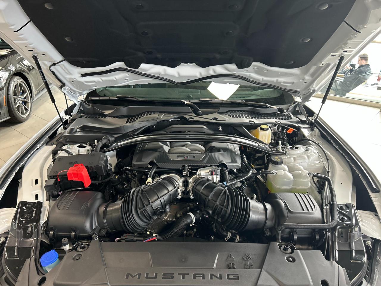 2025 Ford Mustang GT Premium 2dr Fastback Photo