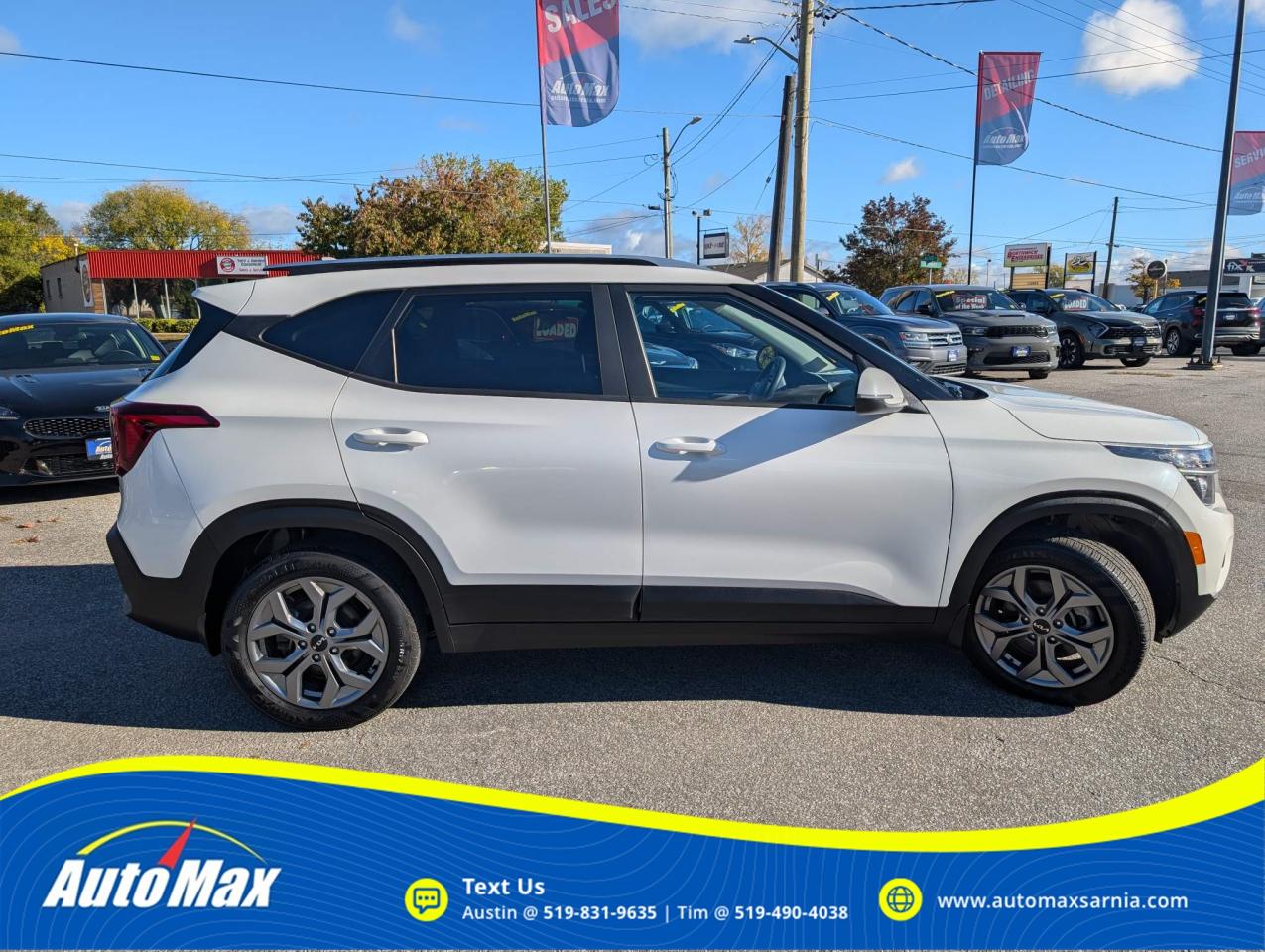 2024 Kia Seltos LX 4dr All-Wheel Drive Photo3