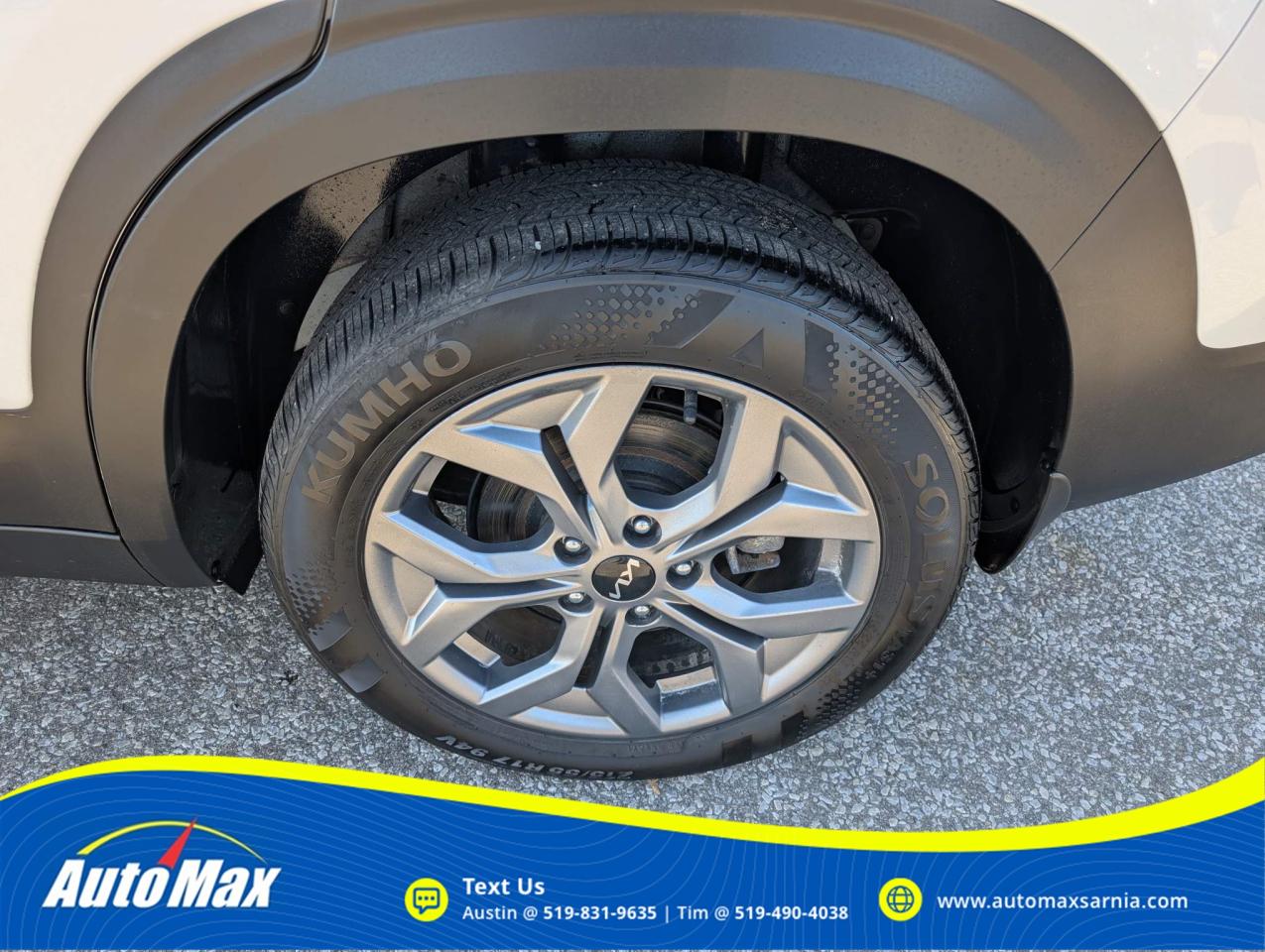 2024 Kia Seltos LX 4dr All-Wheel Drive Photo