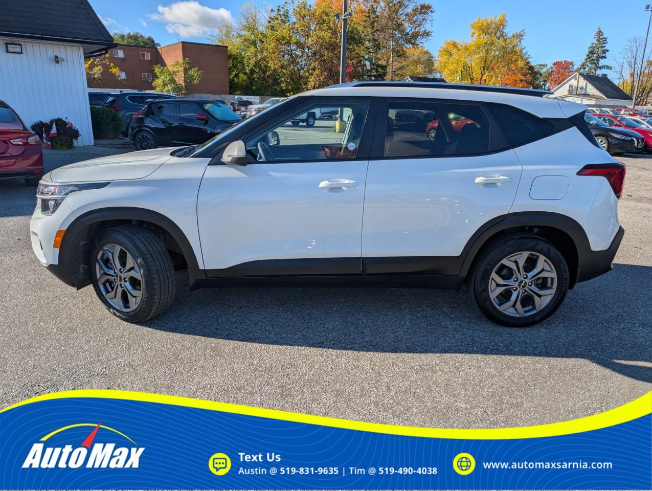 2024 Kia Seltos LX 4dr All-Wheel Drive Photo