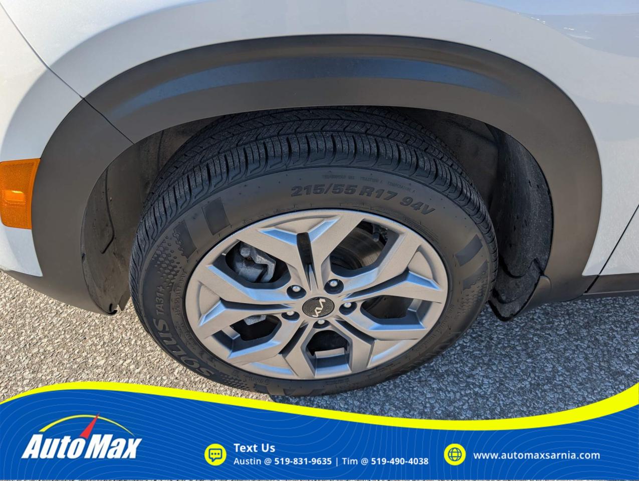 2024 Kia Seltos LX 4dr All-Wheel Drive Photo