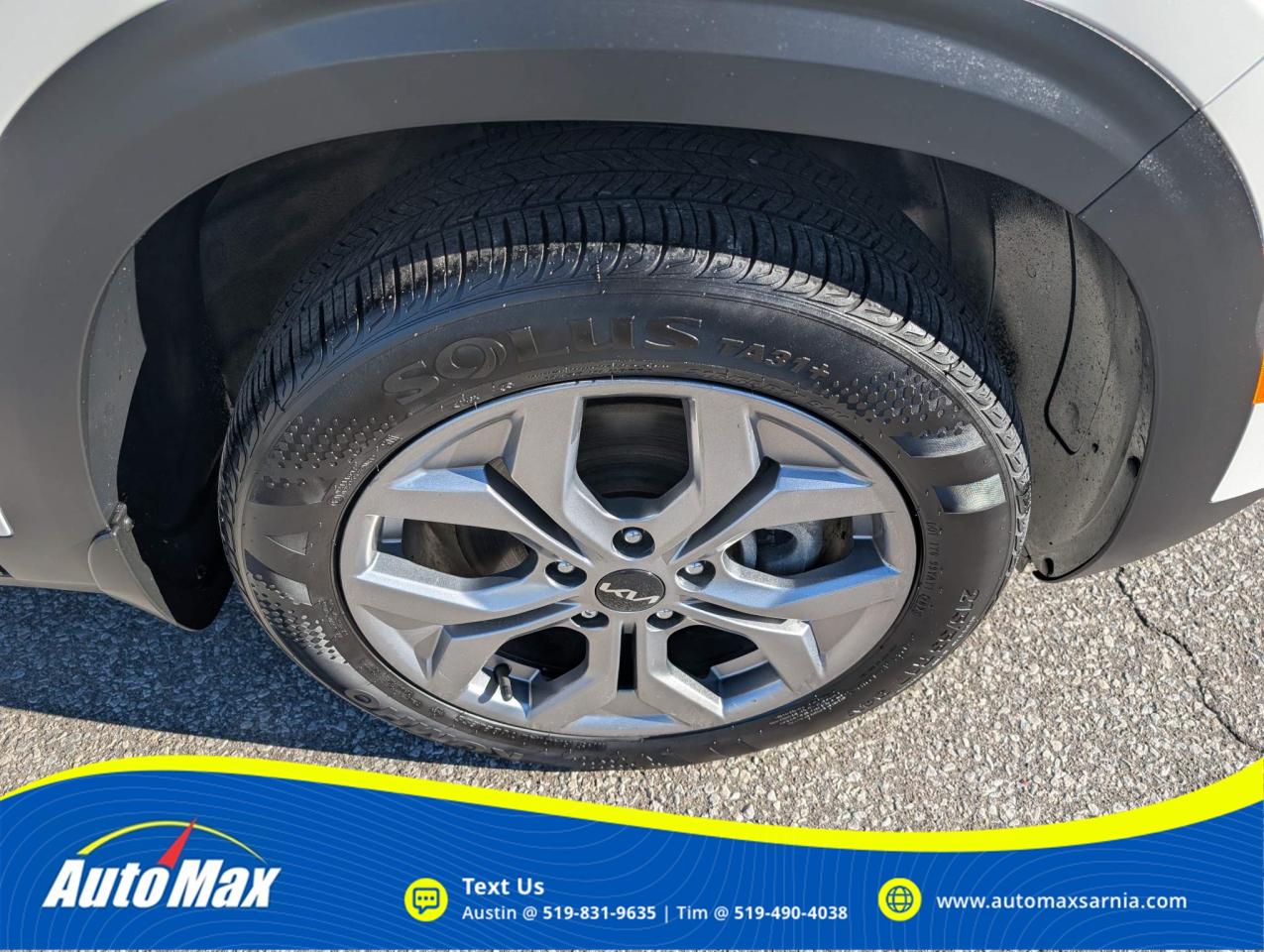 2024 Kia Seltos LX 4dr All-Wheel Drive Photo