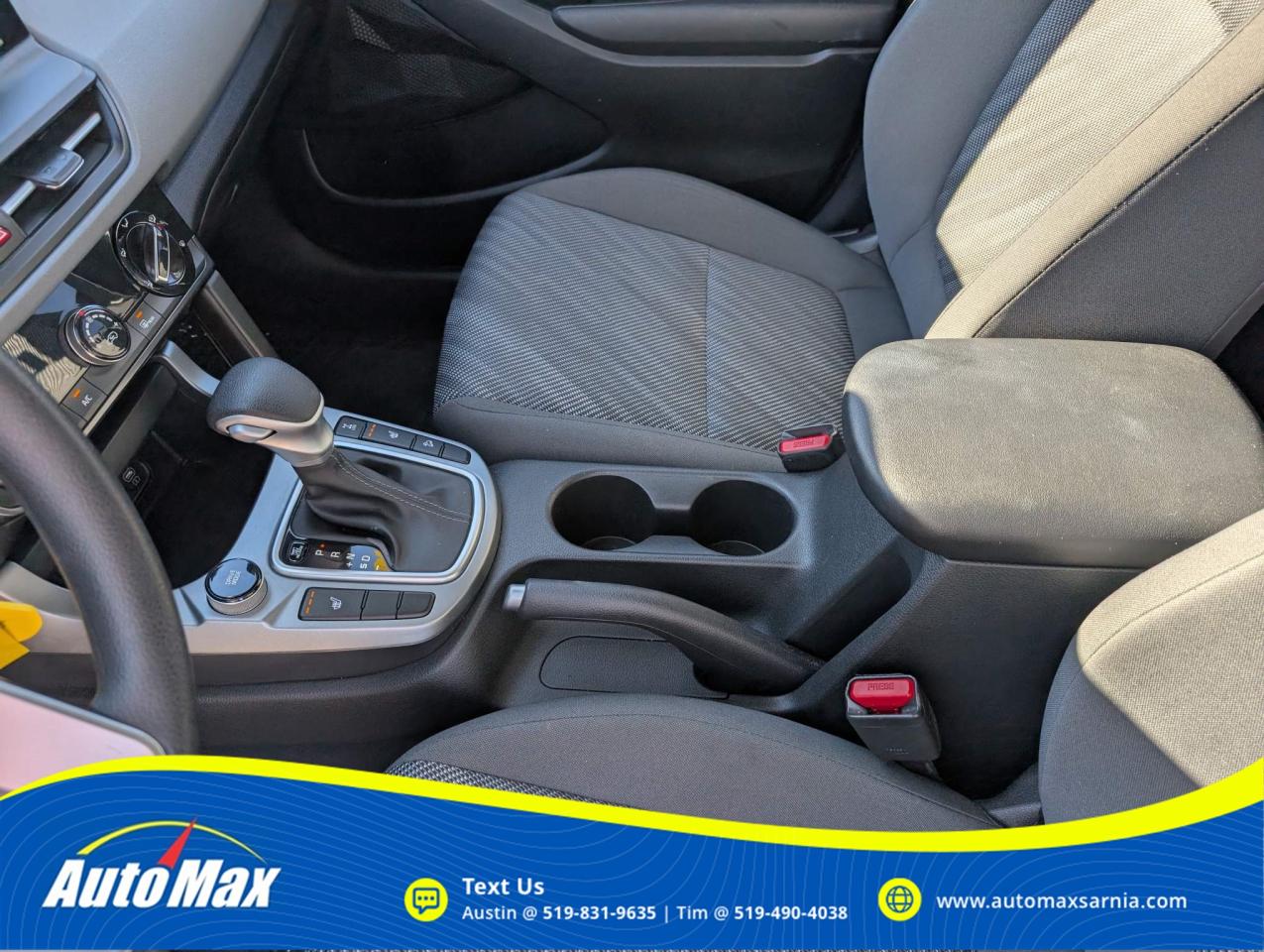 2024 Kia Seltos LX 4dr All-Wheel Drive Photo