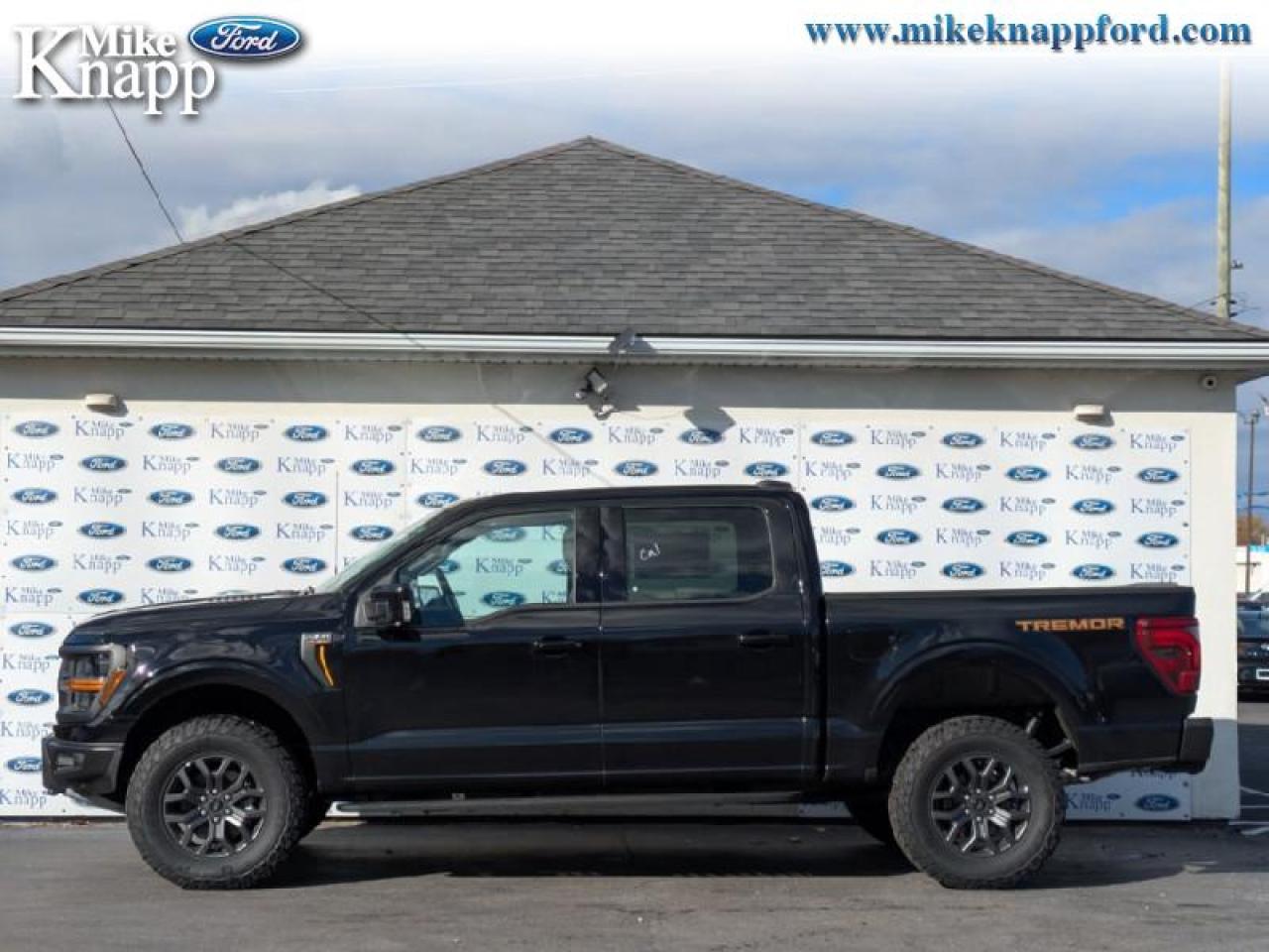 2025 Ford F-150 Tremor Photo