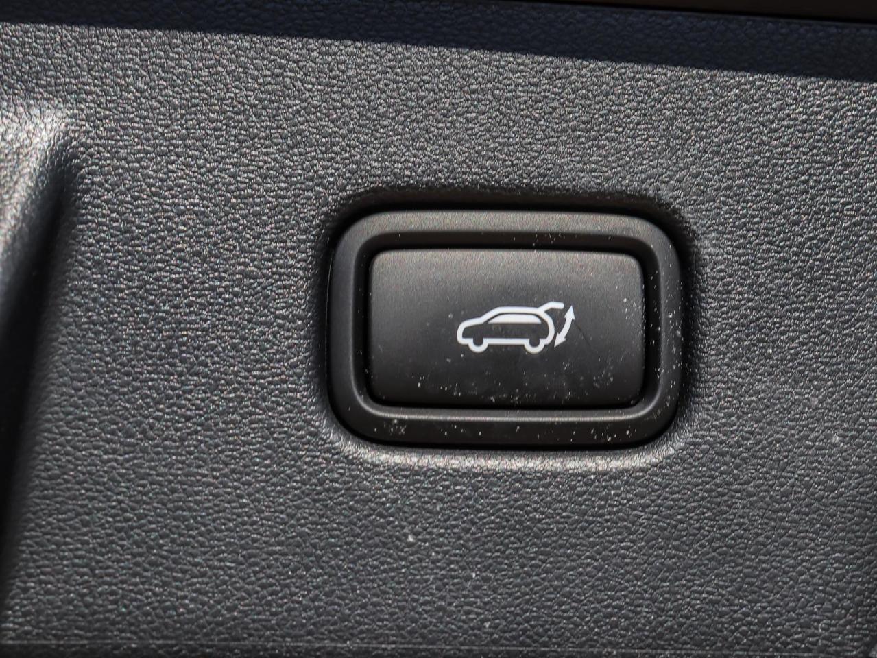 2024 Hyundai Tucson Hybrid Luxury 4dr All-Wheel Drive Photo