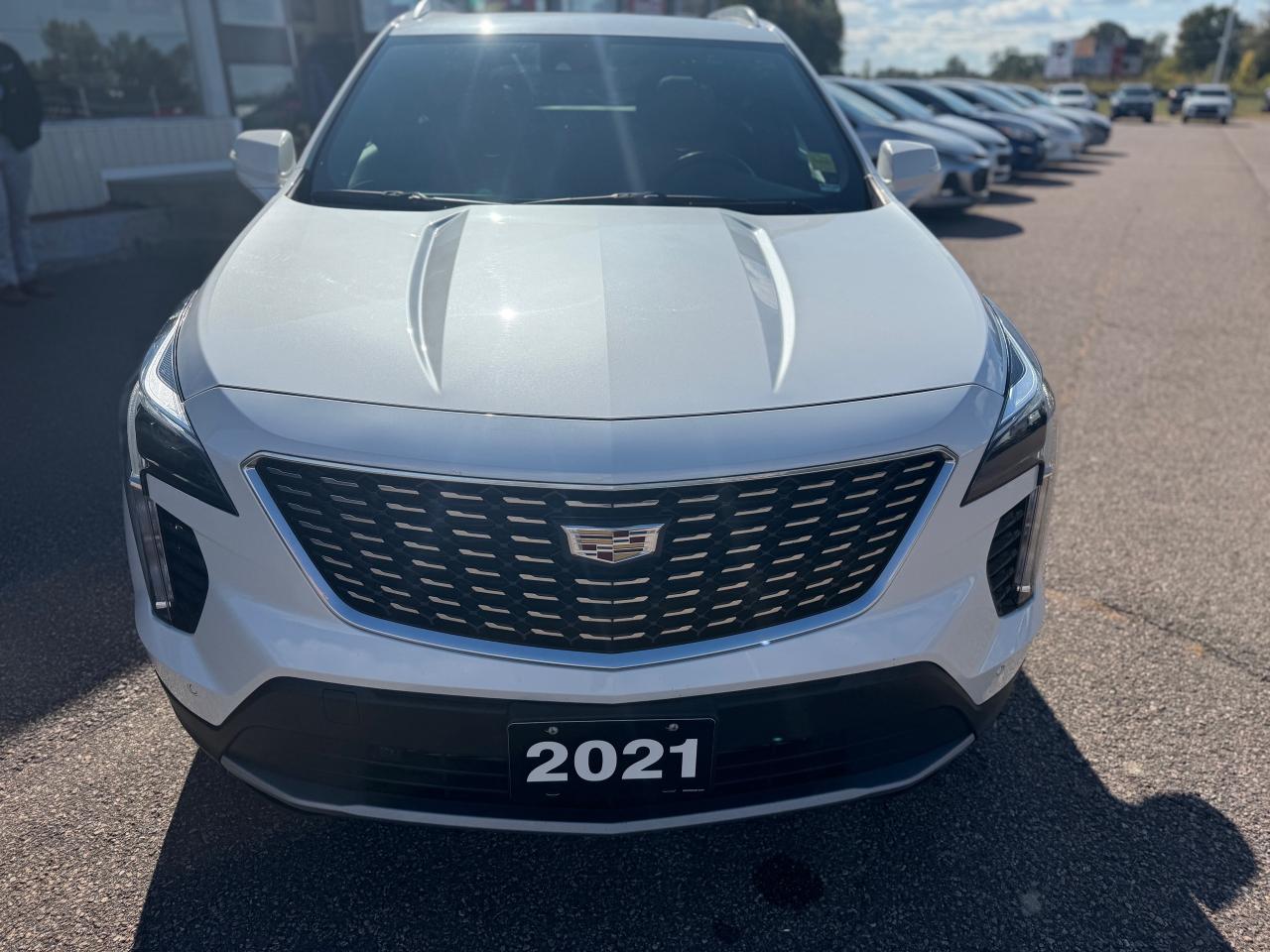 2021 Cadillac XT4 Premium Luxury 4dr All-Wheel Drive Photo