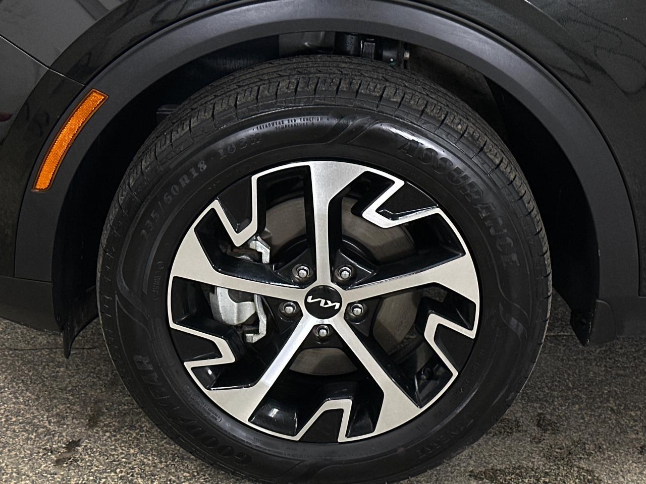 2024 Kia Sportage EX 4dr All-wheel Drive Photo