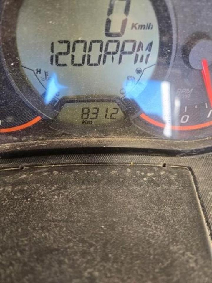 2019 Ski-Doo Expedition® LE 600 H.O. E-TEC  Photo4