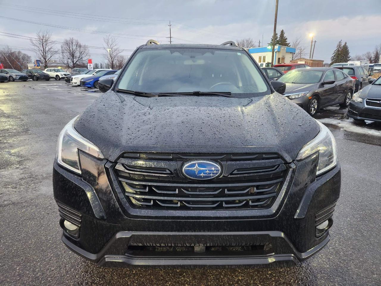 2023 Subaru Forester Touring 4dr All-Wheel Drive Photo