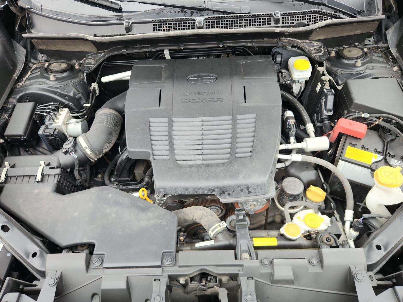 2023 Subaru Forester Touring 4dr All-Wheel Drive Photo