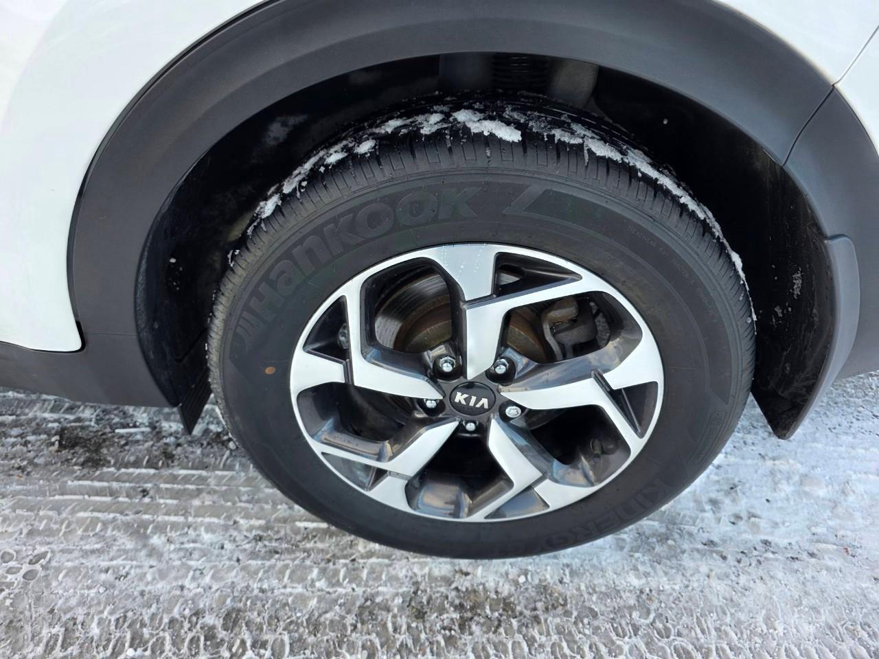 2022 Kia Sportage LX 4dr Front-wheel Drive Photo