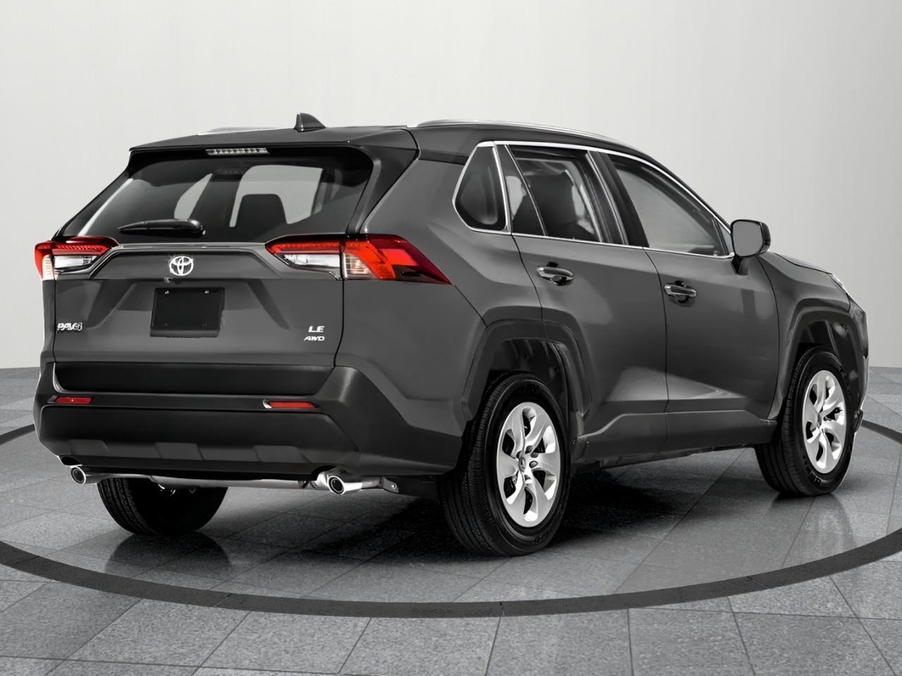 2019 Toyota RAV4 LE 4dr All-wheel Drive Photo2