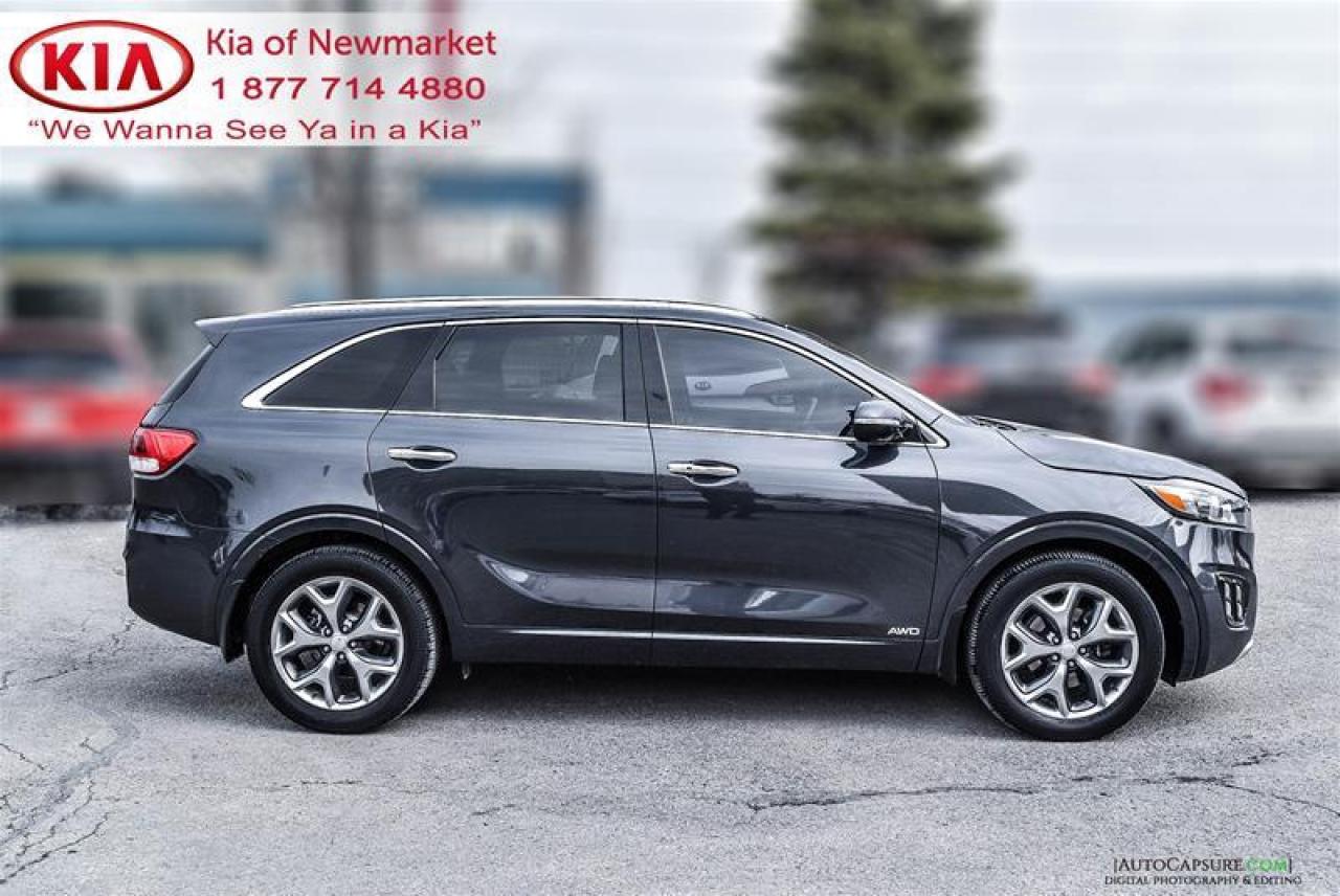 2017 Kia Sorento  Photo