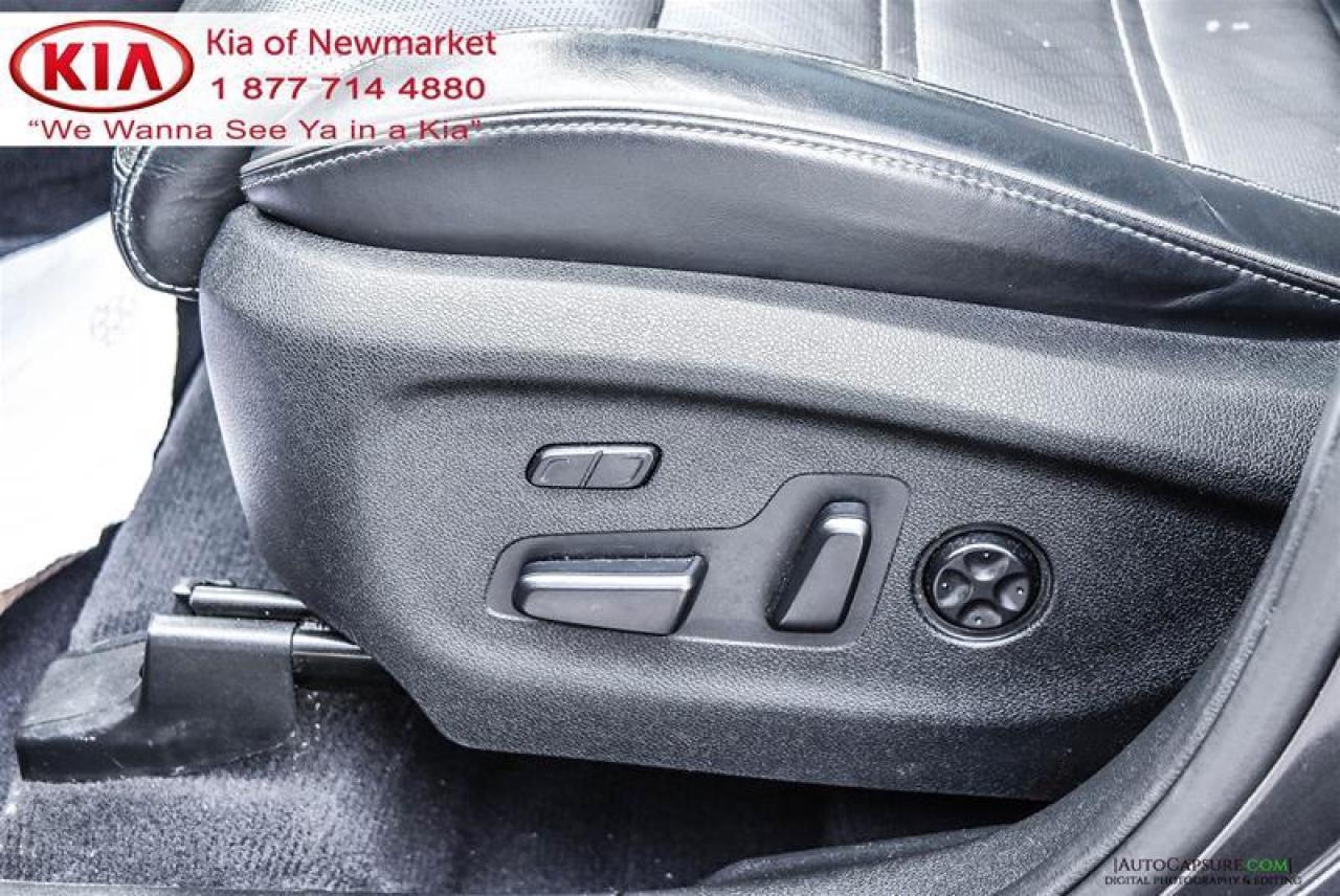 2017 Kia Sorento  Photo