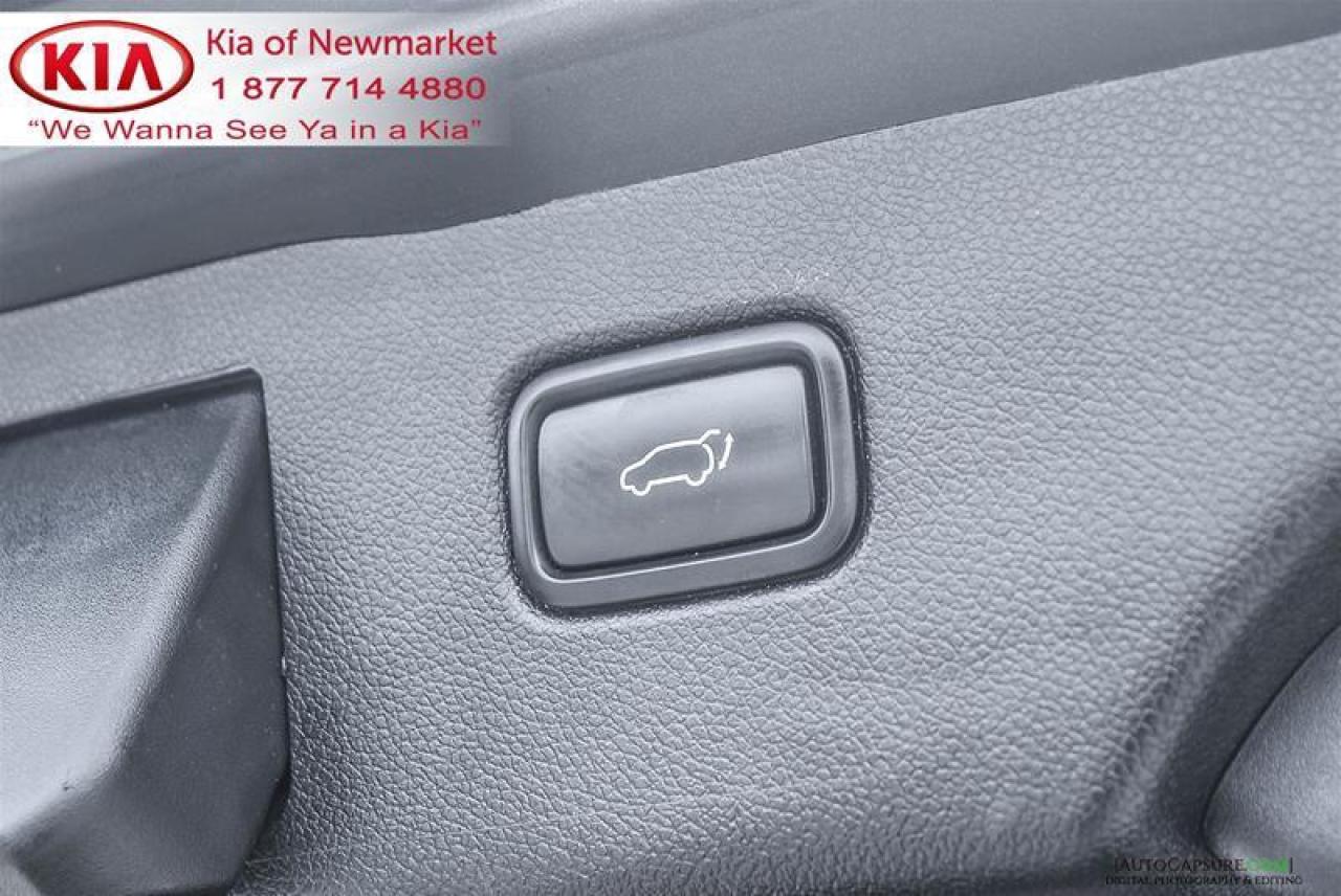 2017 Kia Sorento  Photo