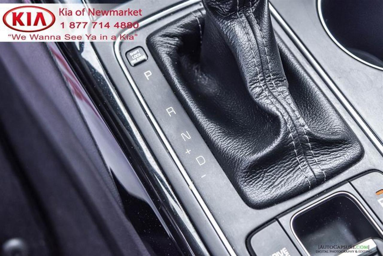 2017 Kia Sorento  Photo