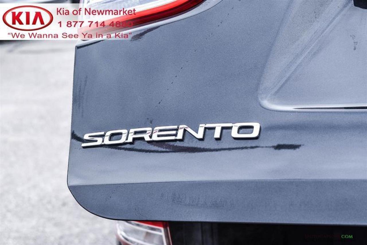 2017 Kia Sorento  Photo