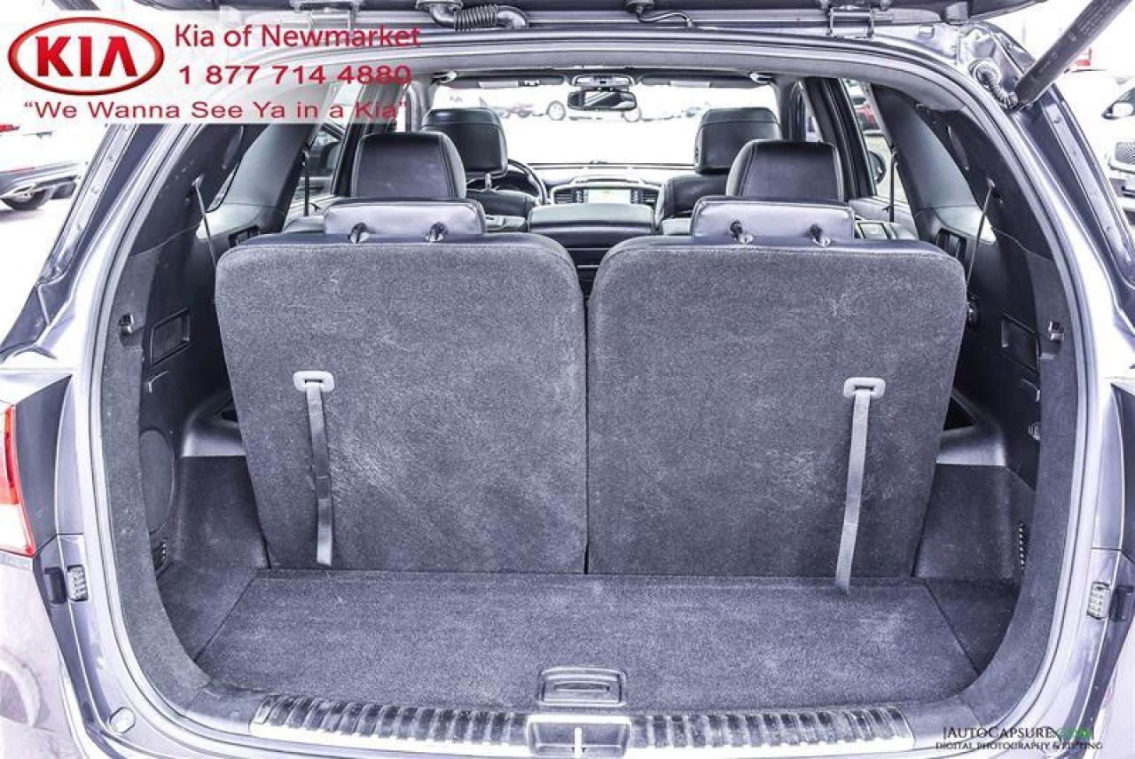 2017 Kia Sorento  Photo