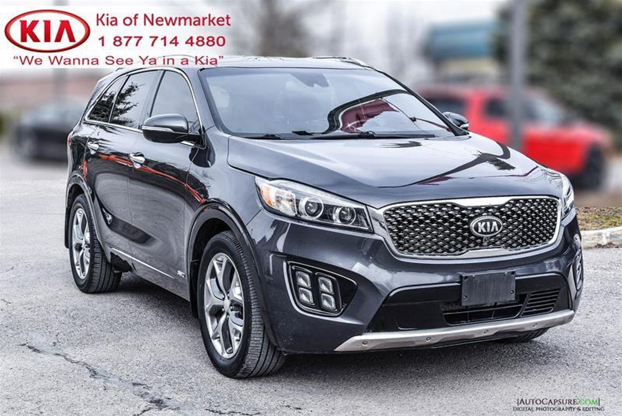 2017 Kia Sorento  Photo