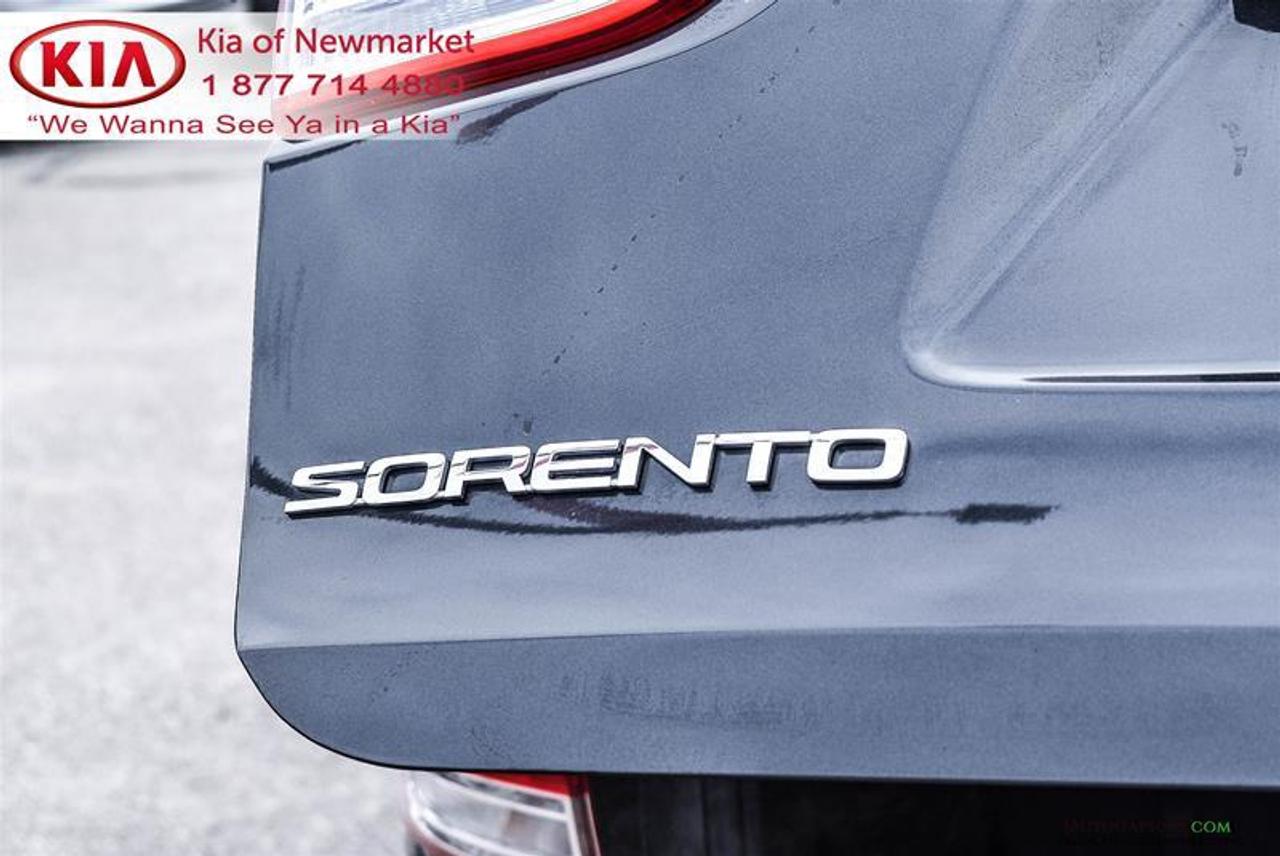 2017 Kia Sorento  Photo
