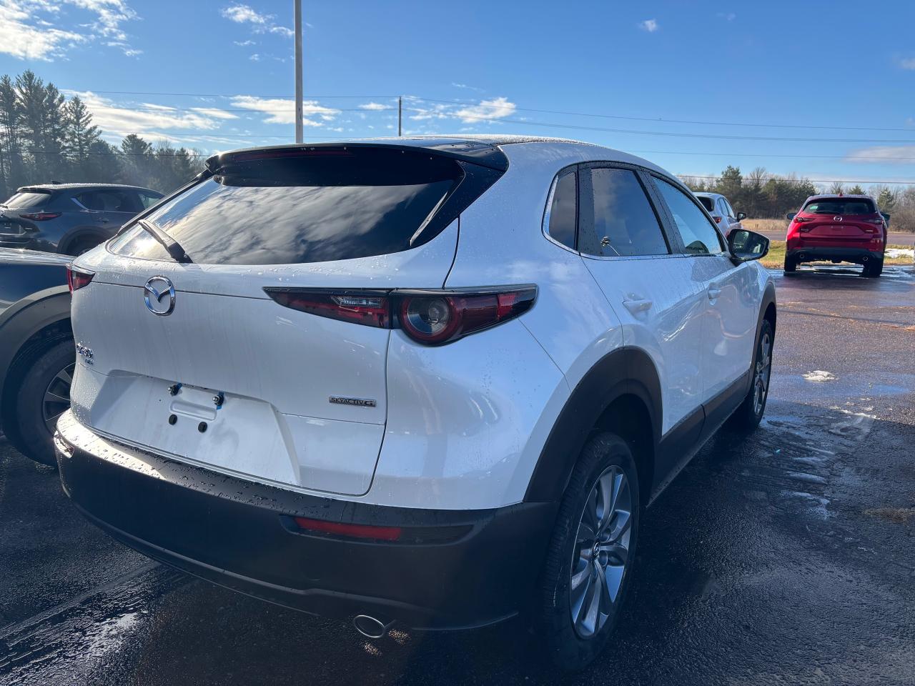 2025 Mazda CX-30 GS 4dr i-ACTIV All-Wheel Drive Sport Utility Photo2