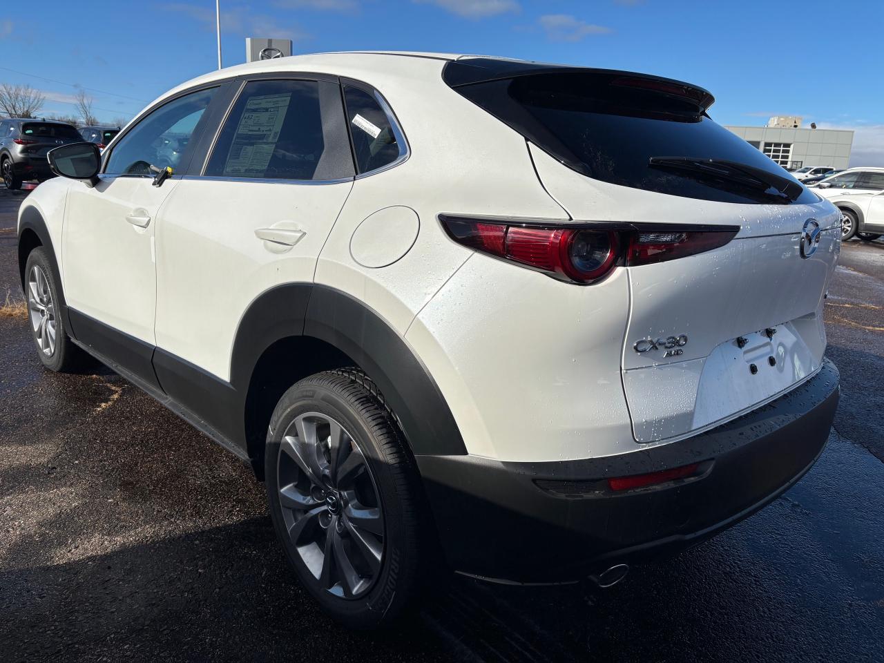 2025 Mazda CX-30 GS 4dr i-ACTIV All-Wheel Drive Sport Utility Photo